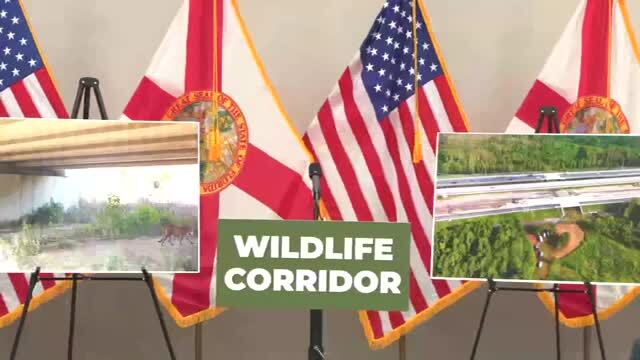 Governor DeSantis Expands Wildlife Corridor and Invests in Red Tide Research
